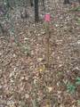 000 Elarton Road - Photo 17