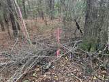 000 Elarton Road - Photo 18