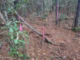000 Elarton Road - Photo 21