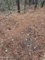 000 Elarton Road - Photo 22