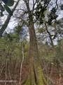 000 Elarton Road - Photo 3