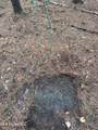 000 Elarton Road - Photo 4