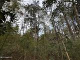 000 Elarton Road - Photo 6