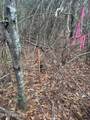 000 Elarton Road - Photo 9