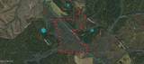 001 Alva Road - Photo 2