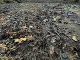001 Alva Road - Photo 26