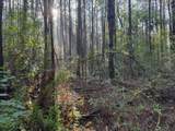 Tbd Cemetery Road - Photo 6