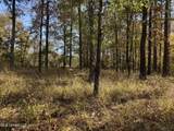  Rosemary Road - Photo 5