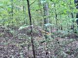 609 Co Rd 333 - Photo 31