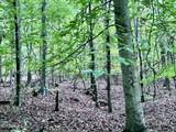 609 Co Rd 333 - Photo 32