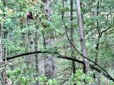 609 Co Rd 333 - Photo 34