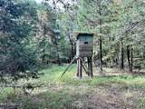 609 Co Rd 333 - Photo 36