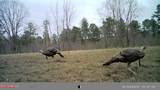 609 Co Rd 333 - Photo 41