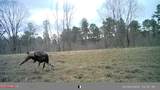 609 Co Rd 333 - Photo 43