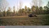 609 Co Rd 333 - Photo 44
