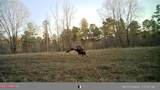 609 Co Rd 333 - Photo 45