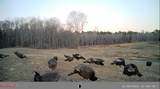 609 Co Rd 333 - Photo 46