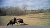 609 Co Rd 333 - Photo 47