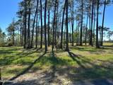  Hummingbird Lane - Photo 1