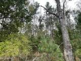 No Old Fannin Road - Photo 5