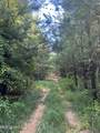  Mccullough Road - Photo 5