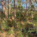 0 Bayou Drive - Photo 5