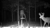 745 Black Jack Road - Photo 45