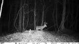 745 Black Jack Road - Photo 46