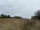  Interstate 55 - Photo 9