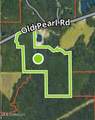 00 Old Pearl Road - Photo 2