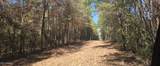  10 Mile Creek Road - Photo 10