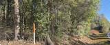 10 Mile Creek Road - Photo 101