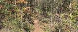  10 Mile Creek Road - Photo 106