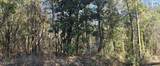  10 Mile Creek Road - Photo 108