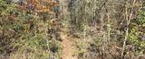  10 Mile Creek Road - Photo 109
