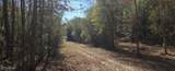  10 Mile Creek Road - Photo 11