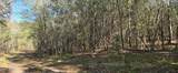  10 Mile Creek Road - Photo 111