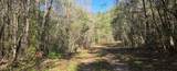  10 Mile Creek Road - Photo 112
