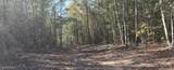  10 Mile Creek Road - Photo 12