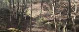  10 Mile Creek Road - Photo 13
