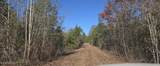  10 Mile Creek Road - Photo 15