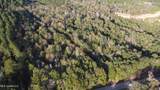  10 Mile Creek Road - Photo 19