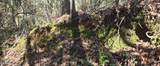  10 Mile Creek Road - Photo 20