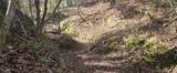  10 Mile Creek Road - Photo 22