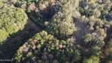  10 Mile Creek Road - Photo 25