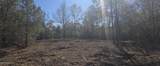  10 Mile Creek Road - Photo 26