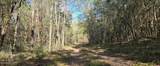  10 Mile Creek Road - Photo 29