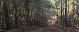  10 Mile Creek Road - Photo 30