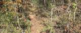  10 Mile Creek Road - Photo 33