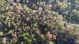  10 Mile Creek Road - Photo 34